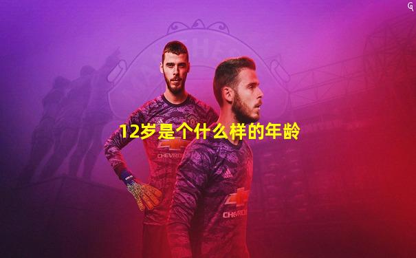 12岁是个什么样的年龄