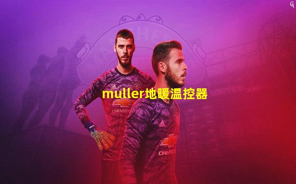 muller地暖温控器