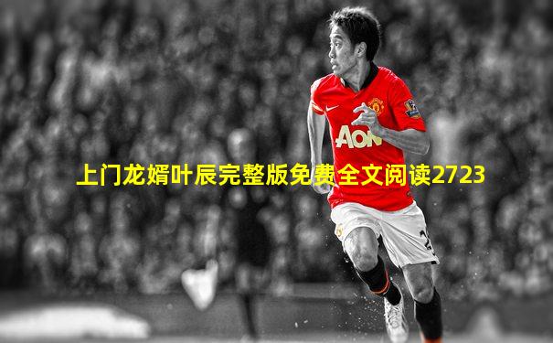 上门龙婿叶辰完整版免费全文阅读2723