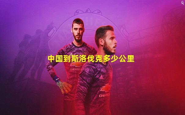 中国到斯洛伐克多少公里