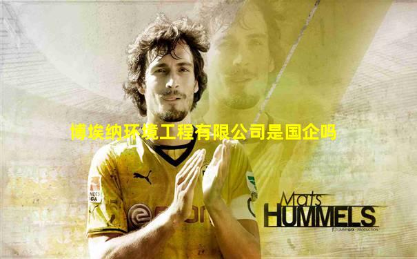 博埃纳环境工程有限公司是国企吗