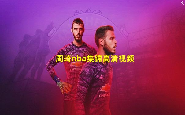 周琦nba集锦高清视频