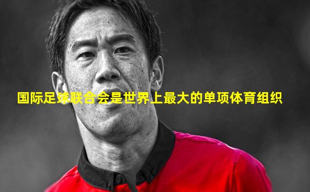 国际足球联合会是世界上最大的单项体育组织