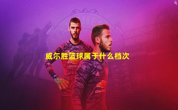 威尓胜篮球属于什么档次