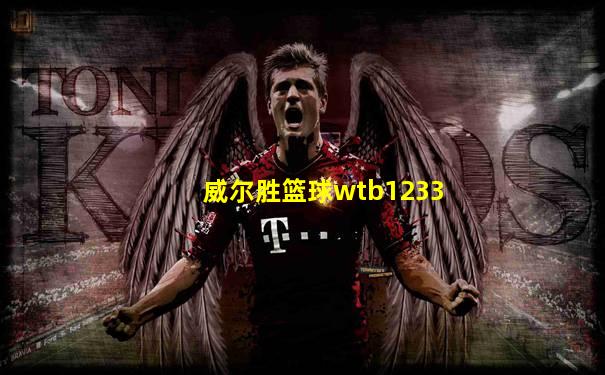 威尔胜篮球wtb1233