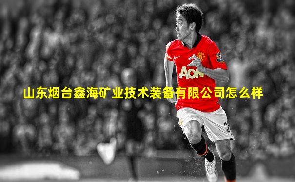 山东烟台鑫海矿业技术装备有限公司怎么样