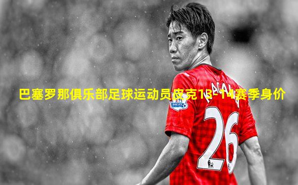 巴塞罗那俱乐部足球运动员皮克13-14赛季身价