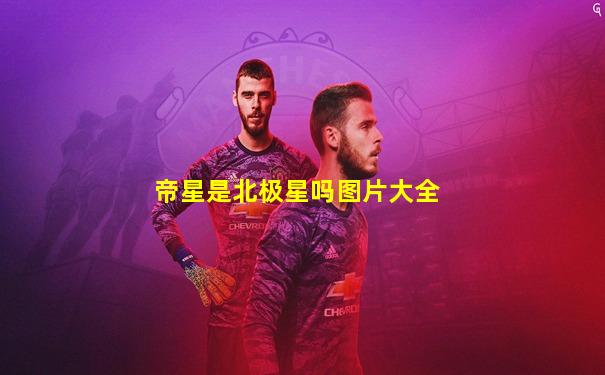 帝星是北极星吗图片大全