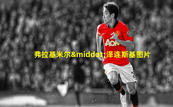 弗拉基米尔·泽连斯基图片