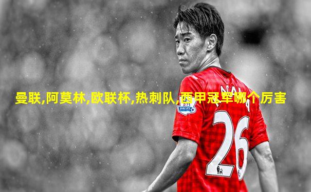 曼联,阿莫林,欧联杯,热刺队,西甲冠军哪个厉害
