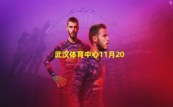 武汉体育中心11月20