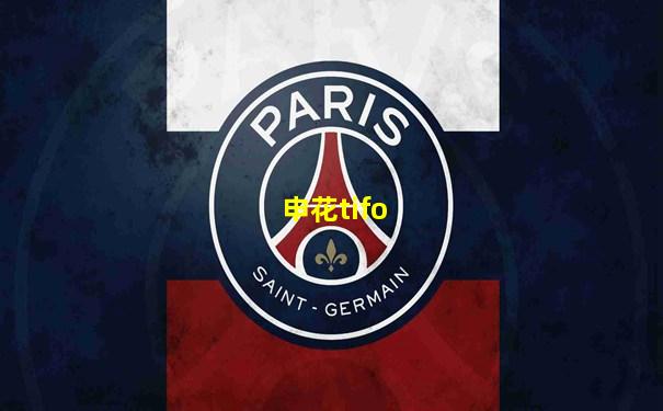 申花tifo