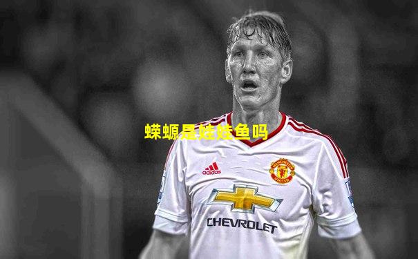 蝾螈是娃娃鱼吗
