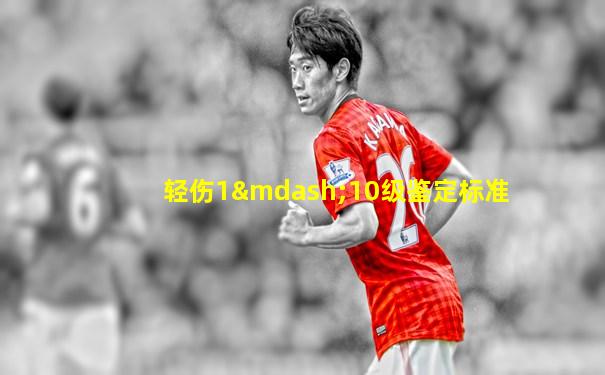 轻伤1—10级鉴定标准
