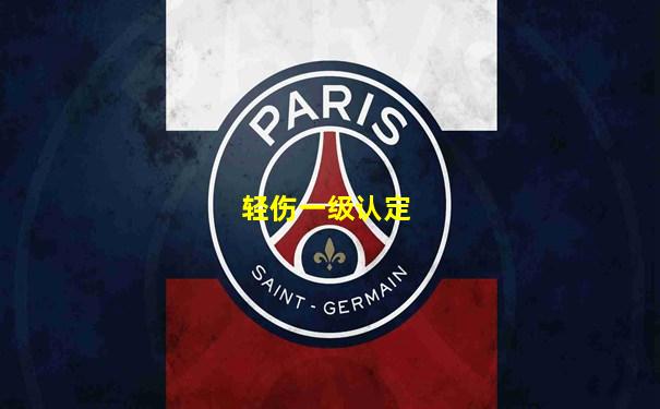 轻伤一级认定