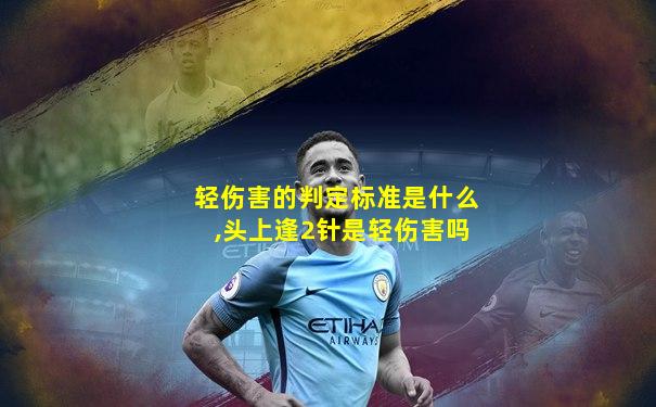 轻伤害的判定标准是什么,头上逢2针是轻伤害吗