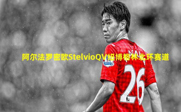 阿尔法罗密欧StelvioQV纽博格林北环赛道