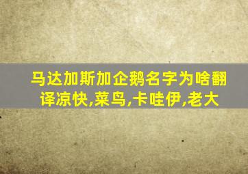 马达加斯加企鹅名字为啥翻译凉快,菜鸟,卡哇伊,老大