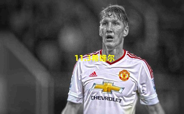 11.3希维尔