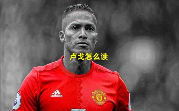 卢戈怎么读